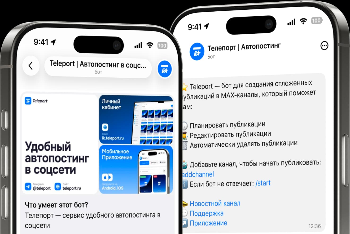 Интерфейс Telegram-бота Teleport для автопостинга